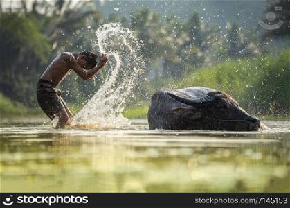 Asia child on river buffalo / The boy happy funny playing and shower animal buffalo water on river with palm tree tropical background in the countryside of living life kid farmer asian