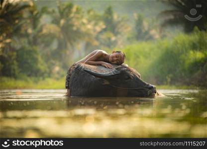 Asia child sleep on buffalo / The boy happy and smile give love animal buffalo water on river with palm tree tropical background in the countryside of living life kids farmer rural people