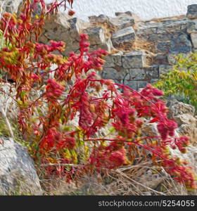 asia greece and roman temple in athens the old column stone construction