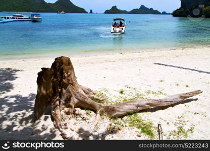 asia in the kho koh phangan isle white beach rocks house boat thailand and south china sea