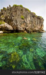 asia in the kho phangan isles bay rocks thailand and south china green sea
