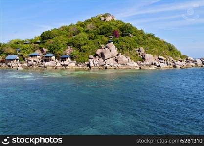 asia kho tao bay isle white beach rocks house in thailand and south china sea