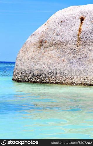 asia kho tao bay isle white beach rocks in thailand and south china sea