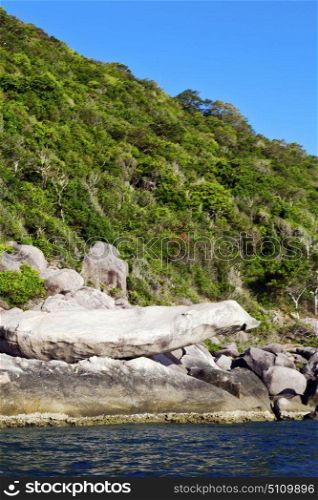 asia kho tao bay isle white beach rocks pirogue in thailand and south china sea