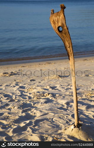 asia sunrise in kho phangan thailand bay isle beach rocks cane and south china sea