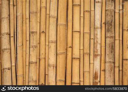 Asian bamboo background surface in vertical alignment