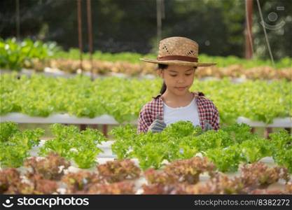 Asian child holding hydroponics. little girl in a greenhouse harvesting vegetables. kid with salad.hydroponic home planting and farming. young female gardening leafy vegetable. Selective focus.