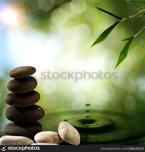 Asian eco backgrounds with bamboo and water splash