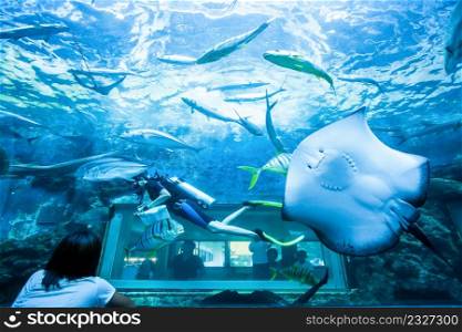 Asian family viewing scuba diver underwater in aquarium with stingray and other seawater fish.