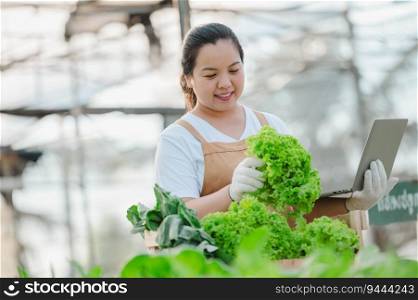 Asian farmer woman working with laptop in organic vegetable hydroponic farm. Hydroponic salad garden owner checking quality of vegetable in greenhouse plantation.