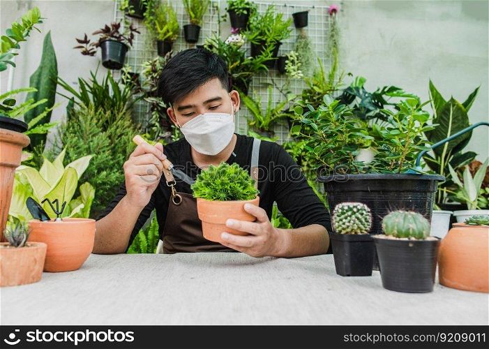 Asian gardener man wearing face mask and apron using shovel to transplants indoor plants and take care of plants at home, Hobby or small business with houseplant 