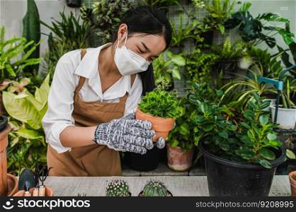 Asian gardener woman wearing face mask and apron holding green houseplant in hand while take care indoor houseplant at home, hobby or small business with small plant