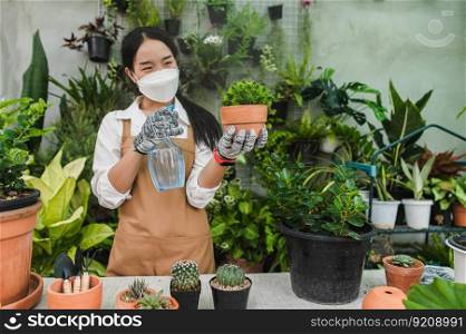 Asian gardener woman wearing face mask and apron holding spray to watering green houseplant in hand while take care indoor houseplant on table at home, hobby or small business with small plant