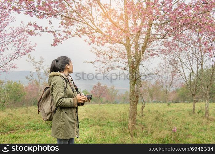 asian girl backpacker on the hill . girl backpacker travel in Sakura or cherry tree flowers blossom garden on the hill