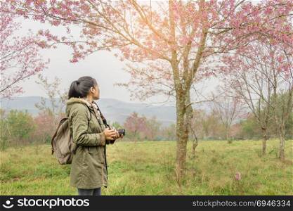 asian girl backpacker on the hill . girl backpacker travel in Sakura or cherry tree flowers blossom garden on the hill