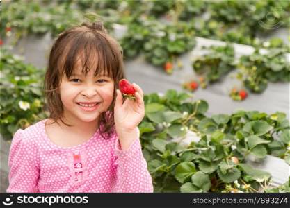 Asian girl happily picking strawberries at strawberry patch