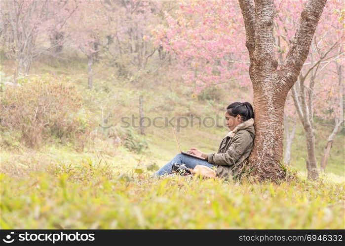 Asian girl using a laptop under tree. Asian girl using a laptop under cherry blossoms tree , The work is always with you.