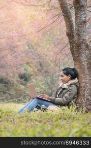 Asian girl using a laptop under tree. Asian girl using a laptop under cherry blossoms tree , The work is always with you.