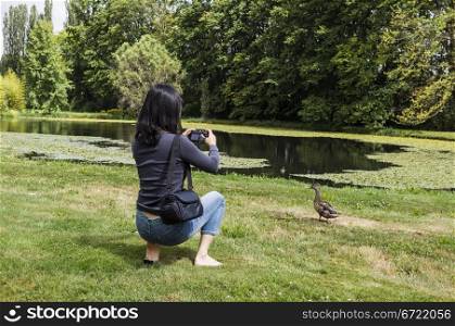 Asian lady taking photo of mallard duck with pond and trees in background