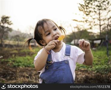 Asian little girl walking in the park and eating ice cream deliciously in summer. Cute face.