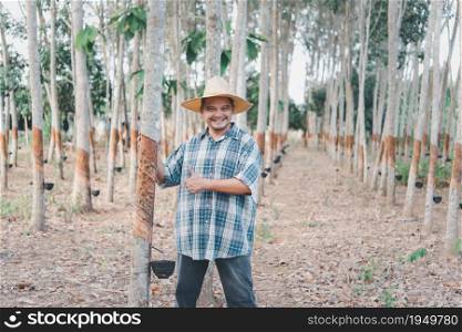 Asian man farmer agriculturist happy at a rubber tree plantation with Rubber tree in row natural latex is a agriculture harvesting natural rubber in white milk color for industry in Thailand. Farmer agriculturist Rubber tree plantation
