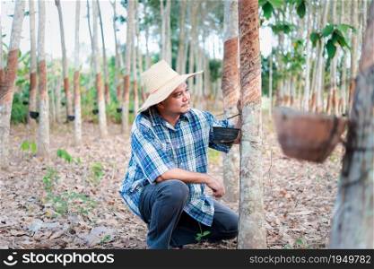 Asian man farmer agriculturist happy at a rubber tree plantation with Rubber tree in row natural latex is a agriculture harvesting natural rubber in white milk color for industry in Thailand. Farmer agriculturist Rubber tree plantation