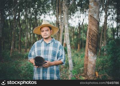 Asian man farmer agriculturist unhappy from low yield productivity at rubber tree plantation with Rubber tree in row natural latex is agriculture harvesting natural rubber for industry in Thailand. Farmer agriculturist Rubber plantation low yield