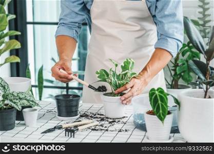 Asian man is cleaning and care plants at home.Housework and botany concept