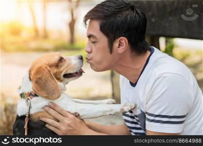 Asian man lovely cute playing kiss with his puppy animal pet , Beagle are friendly dog with human.