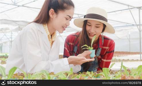 Asian scientist woman checking young plant healthy in organic farm and give knowledge how to take care the owner in greenhouse, Woman farmer in a garden, Concept for new technology in the cultivation.