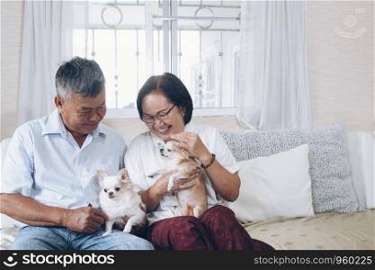 Asian senior couple holding the dogs on the couch at thire house.