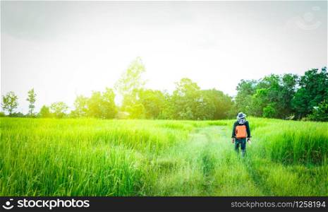 Asian smart engineer or surveyor in black jeans and long sleeve shirt and hat carries a box of orange working equipment and walking in the green rice field in the morning with sunshine in Thailand