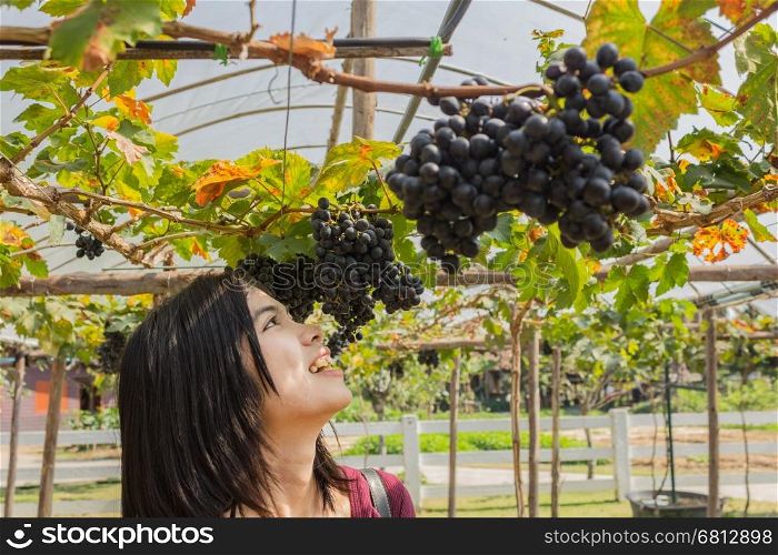 Asian Thai young woman with grapes in a vineyard