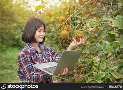 Asian woman checking report organic fruit in orchard , agriculture business, healthy food concept. Asian woman checking report organic fruit in orchard
