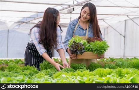 Asian woman farmer holding a vegetable basket of fresh vegetable salad on an organic farm. Concept of agriculture organic for health, Vegan food, and Small business.