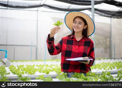 Asian woman farmer using tablet and notebook for inspecting the quality of organic vegetables grown using hydroponics.