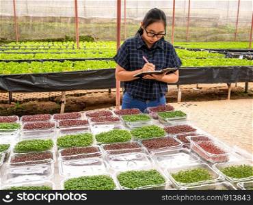 Asian woman gardener work in greenhouse with notebook check the neatness of the packaging of plant seedlings before selling.