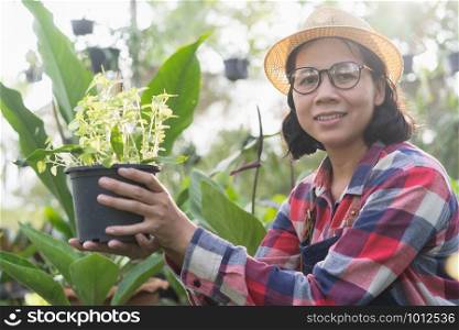 Asian woman holding pot plants in the Ornamental plant shop, Small business concept