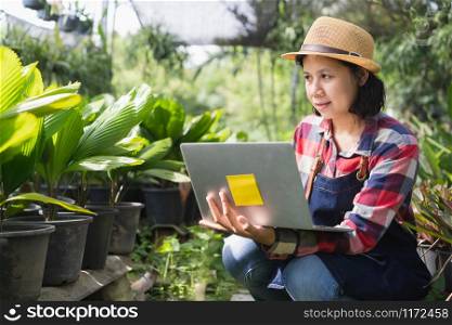 Asian woman is using a laptop to check the vegetation in the Ornamental plant shop, Small business concept