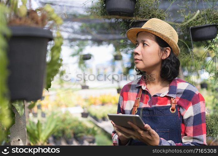 Asian woman is using a tablet to check the vegetation in the Ornamental plant shop, Small business concept