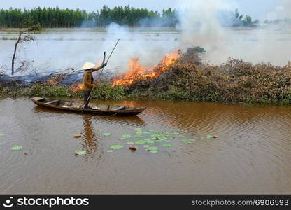 Asian woman on row boat, burn dry tree, dried leaves to cleaning field in flooded season, landscape at Mekong Delta, Vietnam after crop, burning flame on causeway, smoke fly to environment