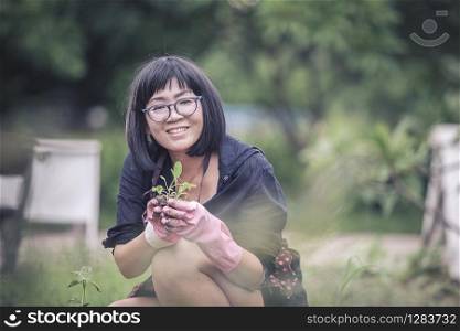 asian woman planting organic vegetable in home garden