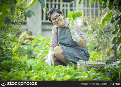 asian woman planting organic vegetable in home garden