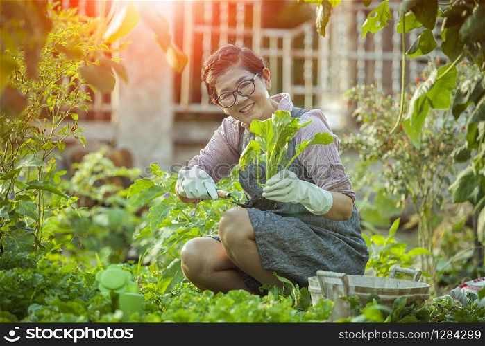 asian woman relaxing harvesting organic vegetable in home garden