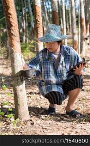 Asian woman smart farmer agriculturist happy at a rubber tree plantation with Rubber tree in row natural latex is a agriculture harvesting natural rubber in white milk color for industry in Thailand. Smart farmer agriculturist Rubber tree plantation