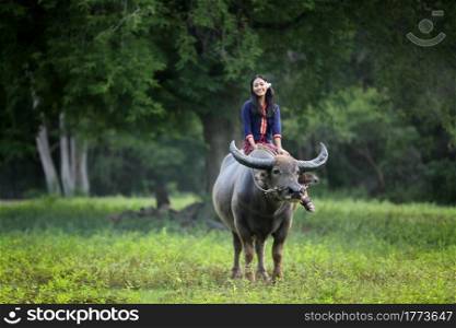 Asian woman Thai farmer sitting on a buffalo in the field