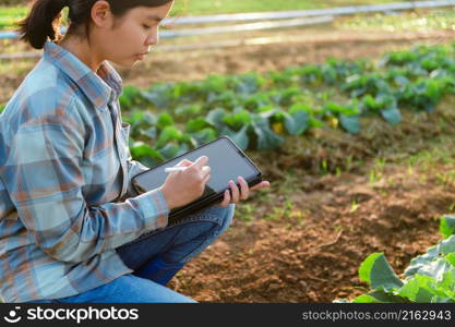 asian woman use tablet to check vegetable growing information in the garden