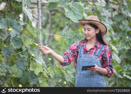 Asian women Agronomist and farmer Using Technology for inspecting in Agricultural and organic vegetable Field