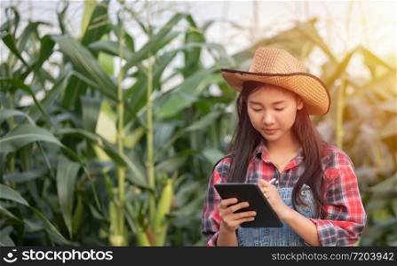 Asian women Agronomist and farmer Using Technology for inspecting in Agricultural Corn Field