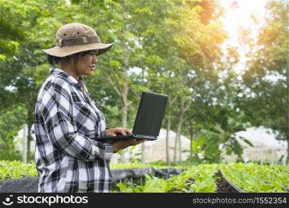 Asian young female agriculturist using laptop to recording growth data of many little green Chinese cabbage in organic farm